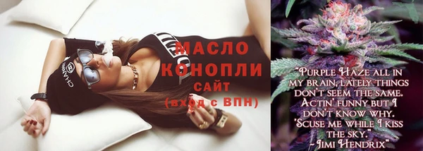 прущие грибы Новозыбков