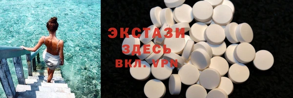 прущие грибы Новозыбков