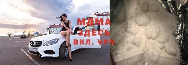прущие грибы Новозыбков