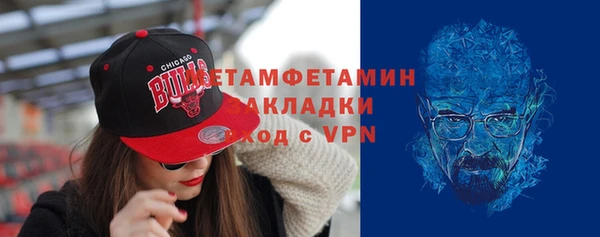 прущие грибы Новозыбков