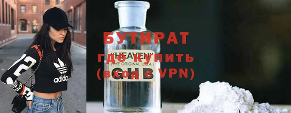 прущие грибы Новозыбков