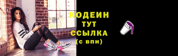 прущие грибы Новозыбков
