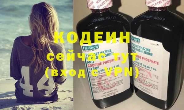 прущие грибы Новозыбков