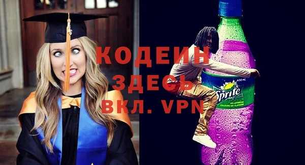 прущие грибы Новозыбков