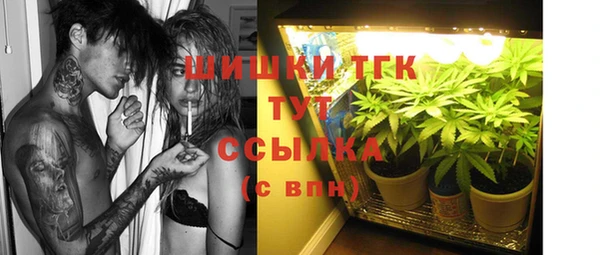 прущие грибы Новозыбков
