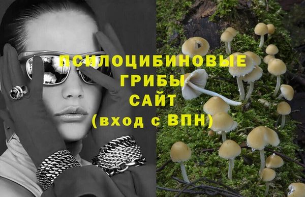 mdpv Новодвинск