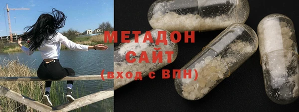 прущие грибы Новозыбков