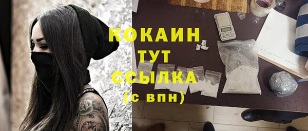 mdpv Новодвинск