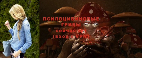 mdpv Новодвинск