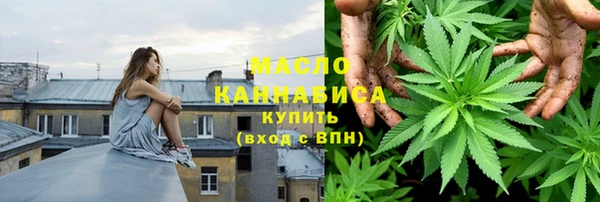 прущие грибы Новозыбков