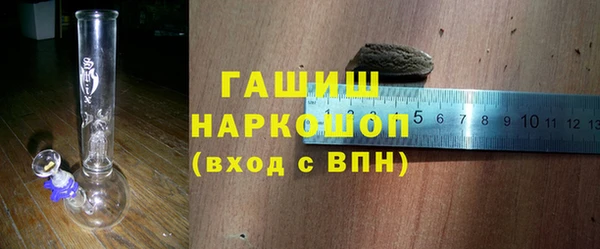 прущие грибы Новозыбков
