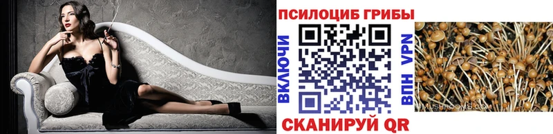 это состав  Шелехов  Галлюциногенные грибы Psilocybine cubensis 
